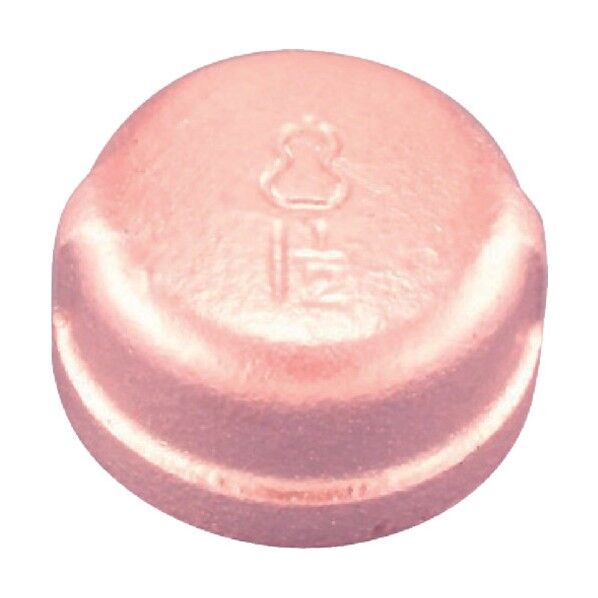 キャップバンド付 BCA-10A 1