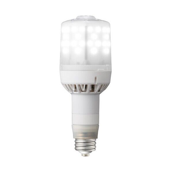 電球 LEDioc LEDライトバルブF 63W (昼白色) (E39口金形) LDS63N-G-E39FB 1本