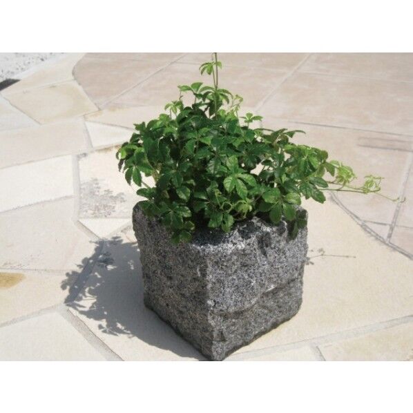 ストーンオブジェアース フラワーポットピンコロ