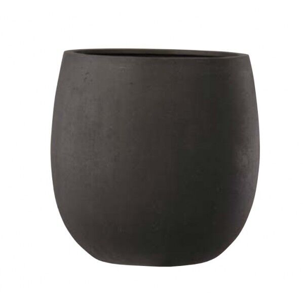 テラニアス バルーン