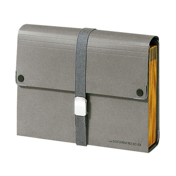 ライオン事務器 ドキュメントファイル DC-531 1点...