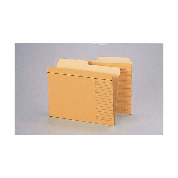 カットフォルダーA4-2F-R-20P A4-2F-R-20P(13174) 20冊