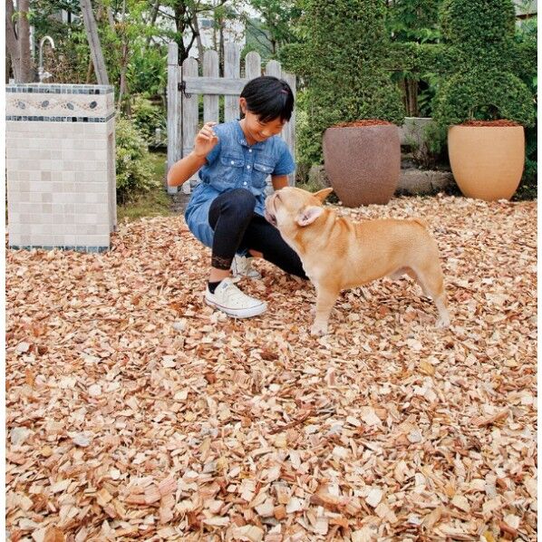 特選スギひのきウッドチップ