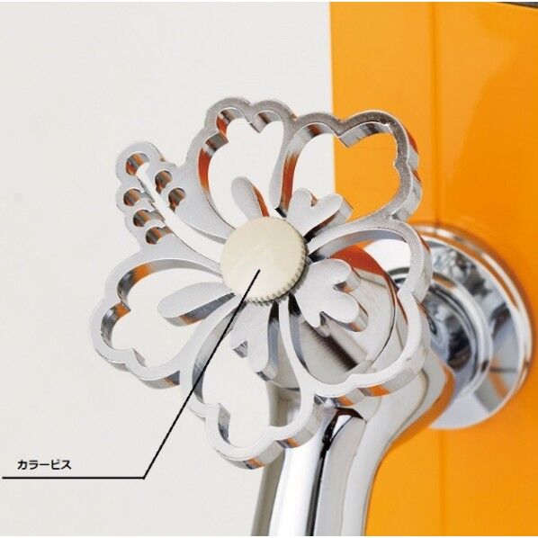 アクアルージュ オプション カラービス