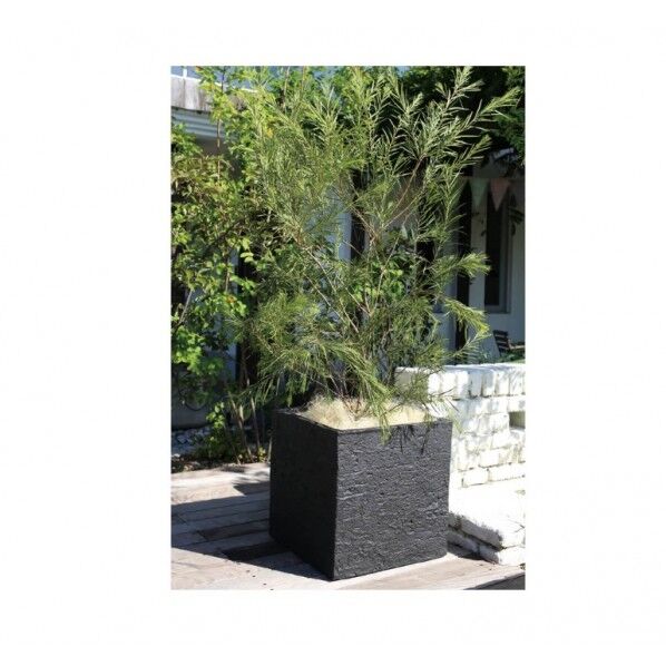 ファイバープランター ベータ ベアロック