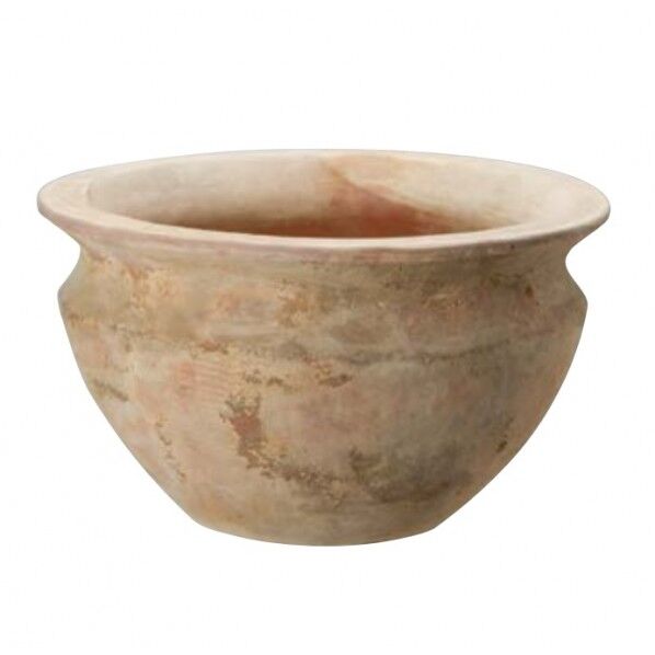 テラアストラ ベガ・ロー39