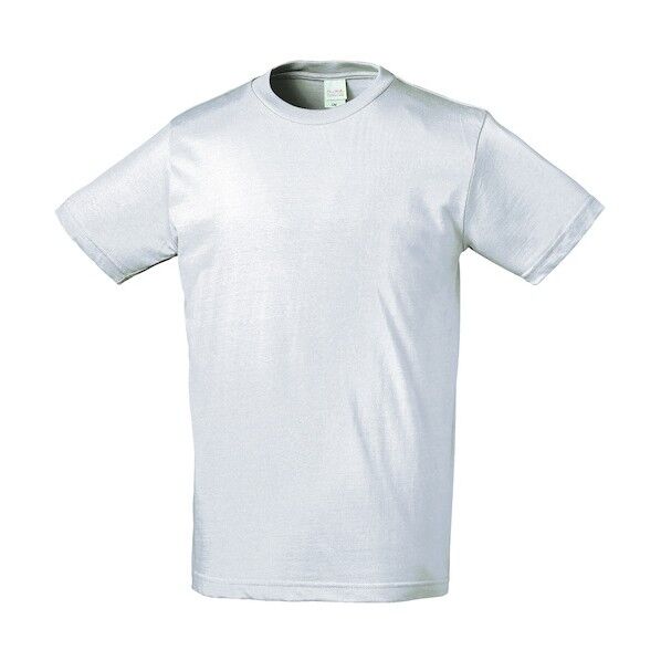 半袖Tシャツ ナチュラルアッシュ  3L