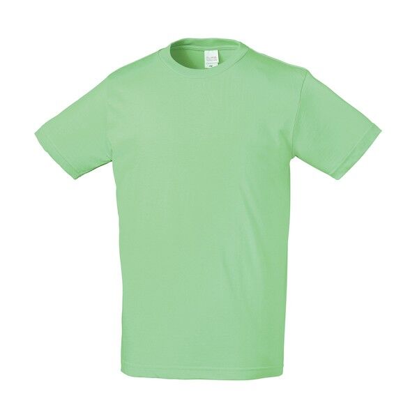 半袖Tシャツ ライム 3L