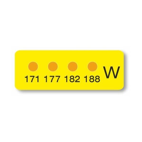 MN-W 10枚