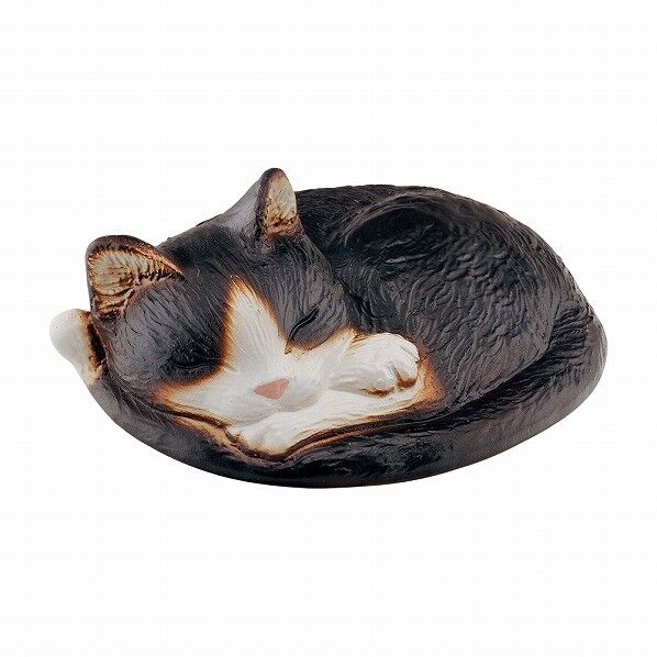 ぬらさにゃいで(ハチ)