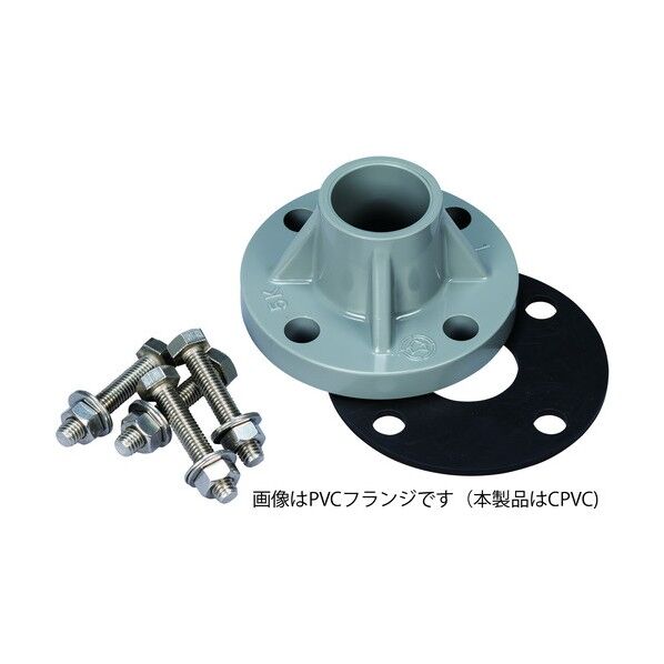 EGL-1-A/B共通オプション 「入口 TS-CPVCフランジ 20A ASSY」 (フランジ・ボルト・ナット・パッキン)