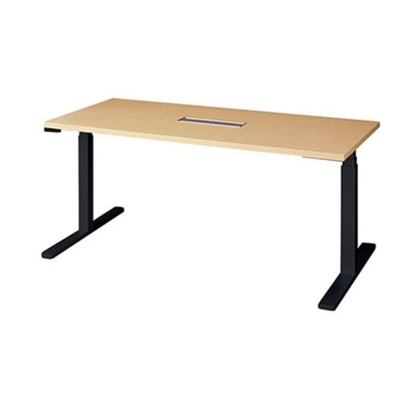 上下昇降テーブル リフティーナ LT型