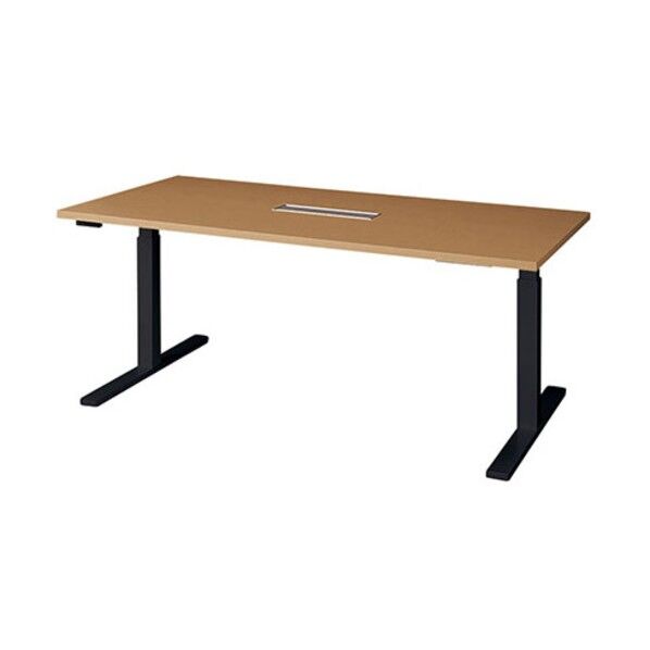 上下昇降テーブル リフティーナ LT型