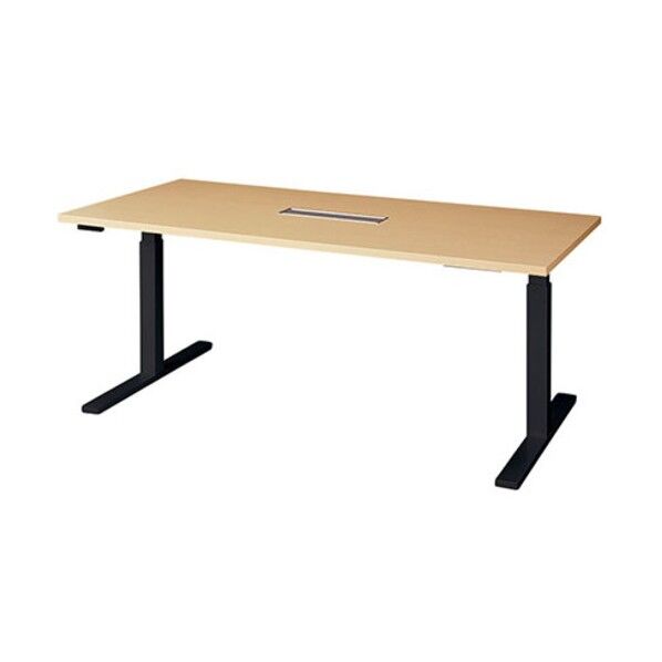 上下昇降テーブル リフティーナ LT型