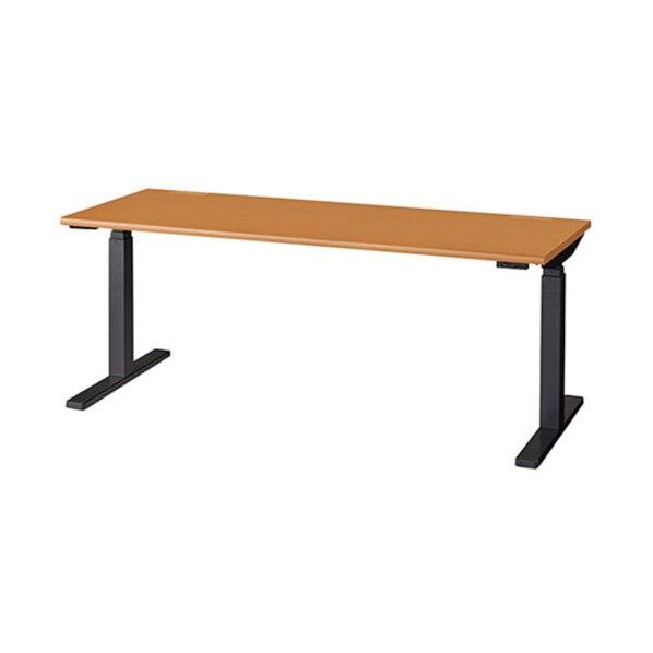 昇降デスク リフティーナ