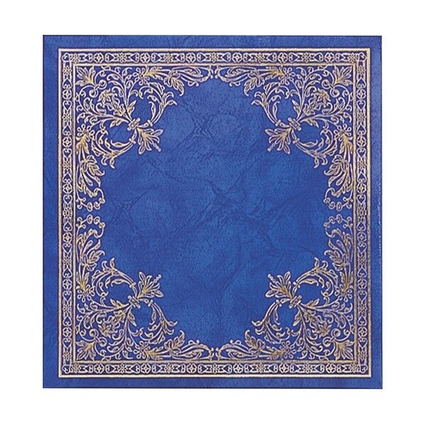 ナカバヤシ フヤスアルバム ブルー アフ-502-B 0...