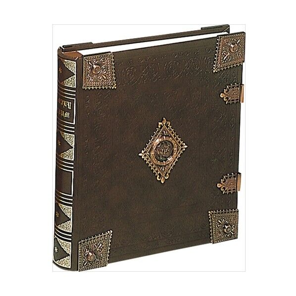 グレ-トハイネスアルバム/ブラウン