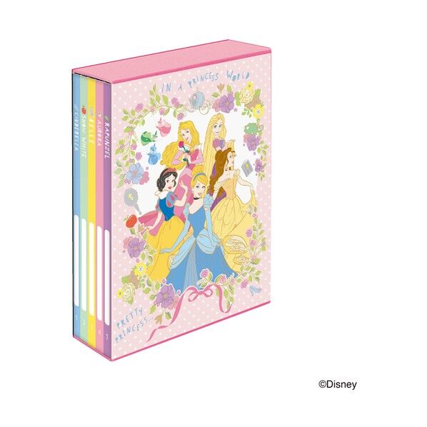 5冊BOXアルバム プリンセス