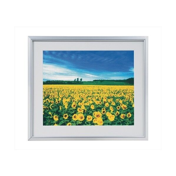  アルミ製軽量写真額/シルバー/2L SA-220-S 1点...