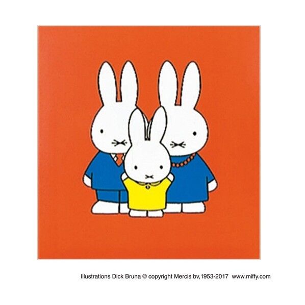 フエルアルバム コドモ ディックブルーナ S アカ SA-121-1 1点