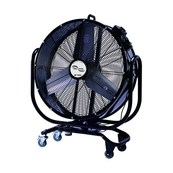 75cm首振りビッグファン