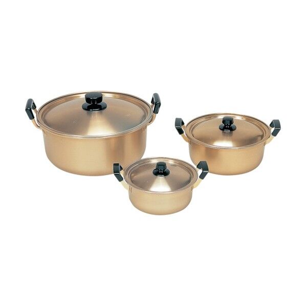 本蓚酸両手鍋 16cm 030346016 1個