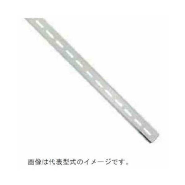 DINレール PFP-50N 1個