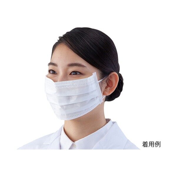 CC-641-3 クリーンルームマスク 