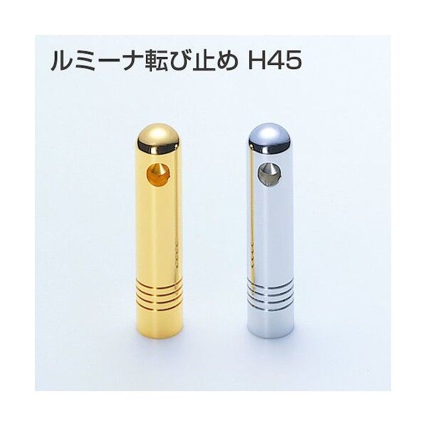 アトムリビンテック ルミーナ転び止 A(H45)パス 本金 本金 071112 1点
