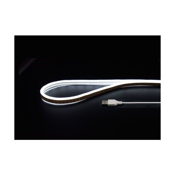 ネオンチューブライト ネオンチューブライト白色2m NTL012WH 1個...