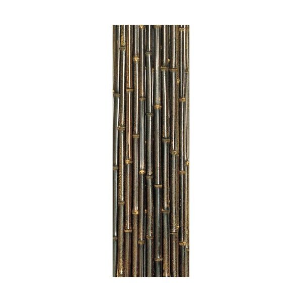 黒竹5分(バラ) ･ 1個