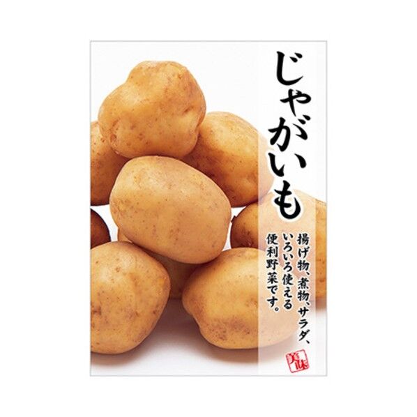 年間タイトルポップ ポスターファクトリー ジャガイモ A3 AS9-0357