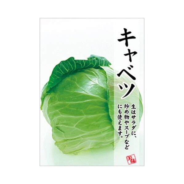 年間タイトルポップ ポスターファクトリー キャベツ A3 AS9-0359