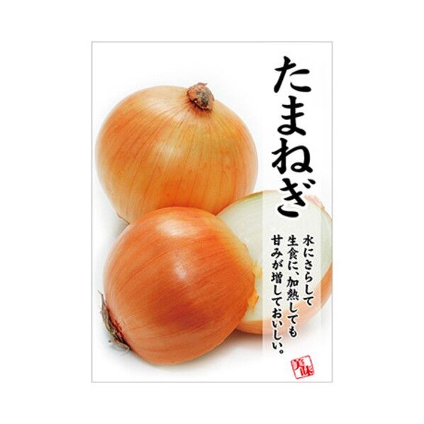 年間タイトルポップ ポスターファクトリー タマネギ A3 AS9-0361