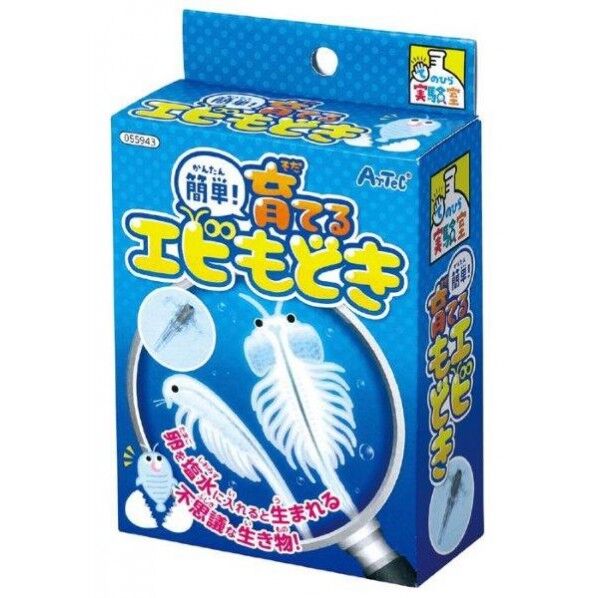 簡単!育てるエビモドキ