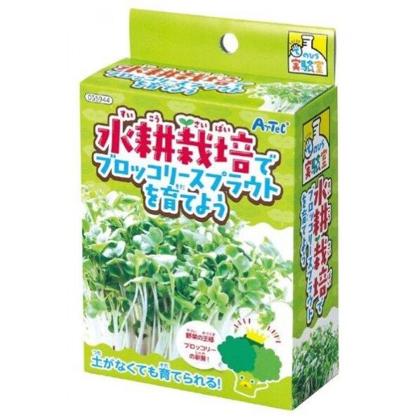 アーテック 水耕栽培でブロッコリースプラウトを育てよう 55944 1セット