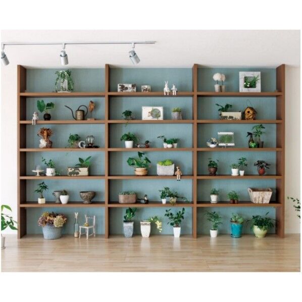 ブックシェルフ収納 フィクサス 壁面(シンプルタイプ)