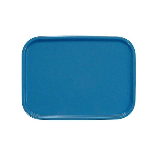 カラーコレクショントレー 1107500 アクアブルー L 61-6810-70 1点