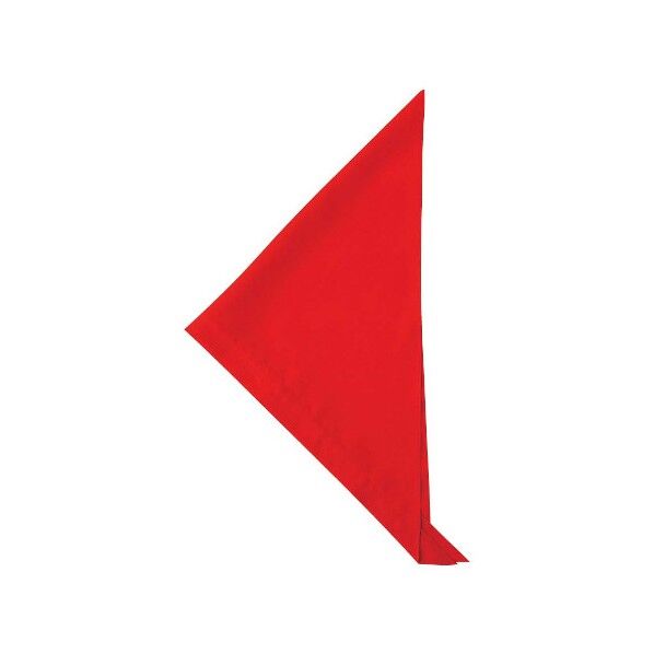 三角巾 JY4672-0 レッド フリー 4312120 63-7226-23 1点