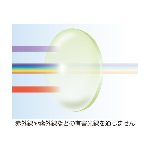 リケン 遮光めがね RS－24SPL ＃1．4