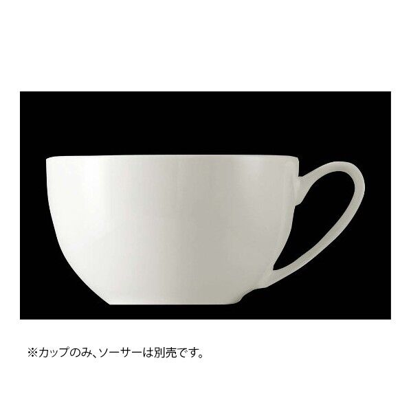 ローゼンタール ジェイド モーニングカップ 280mL 61040-14772 4678361 63-7192-75 1点