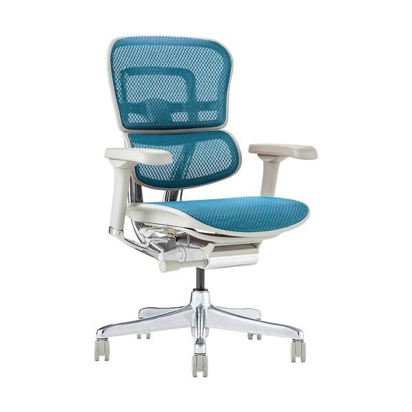  オフィスチェア プロ2 ロータイプ グレーフレーム 張地 ブルー EHP2-LAM-GF-BL 1点...