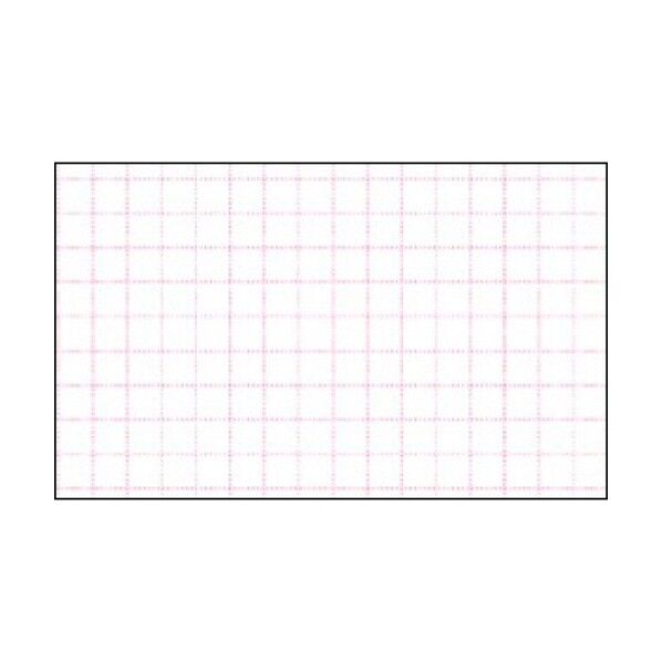 ササガワ POP ショーカード 小 アミ目入 無字 1705108 17-5108 50枚...