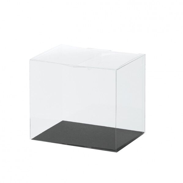 clear case CLEAR/860-001-000 1個