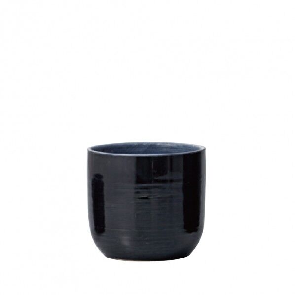 ヴェリテ ブラック