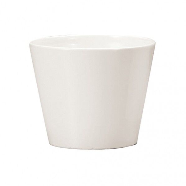 カラーベースラウンド ホワイト