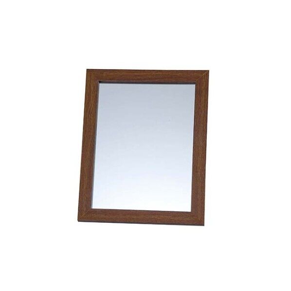 防災ミラー S(割れないクン)ブラウン 7476020 61-6860-02 1点