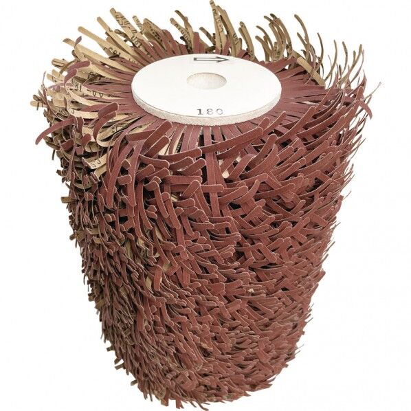 スリットクラゲα