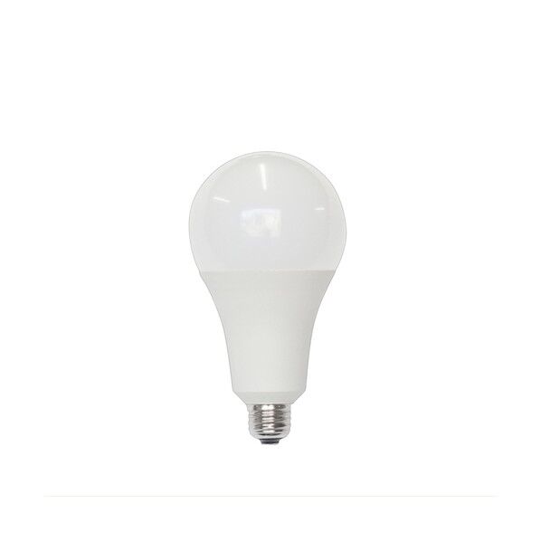 SAFETY 仮設照明 LED電球 E26 100/200V兼用 屋外用 150W形 SH20-TL 1本