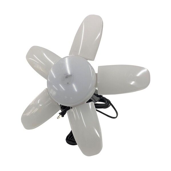 坂謙 電球付クリッフﾟランフﾟ LUNA2 L2-73W-ST 1個